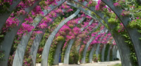 Brisbane