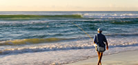 Sunshine Coast