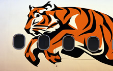 Tiger logo on plane
