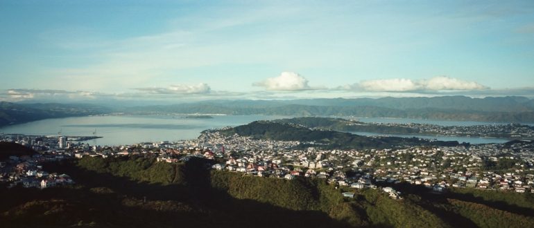 48 hours things to do in wellington