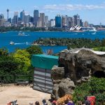 Taronga-Zoo-School-Holiday-Ideas-Australia