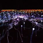 Uluru-Field-Of-Light-2020
